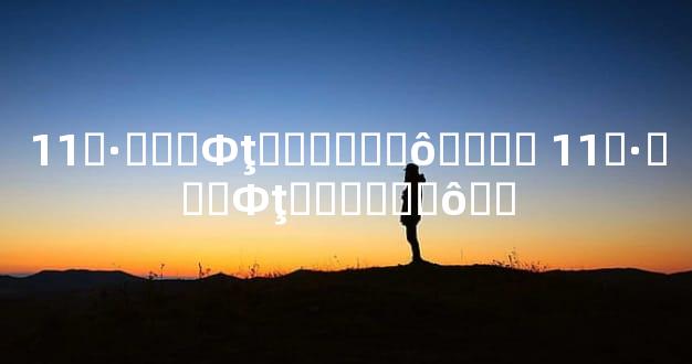 11�·���Фţ������ô���� 11�·���Фţ������ô��